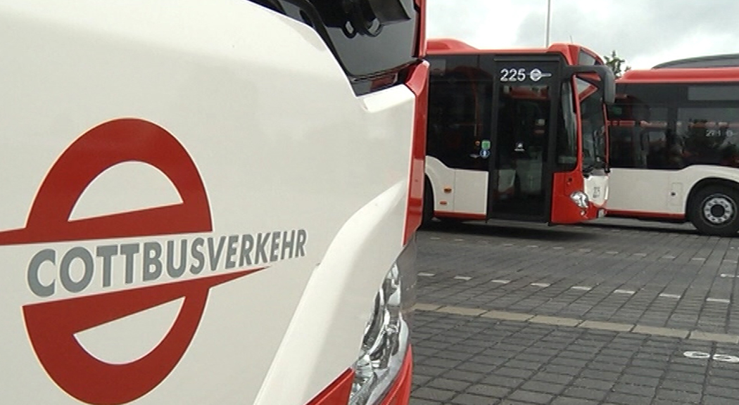 Bus mit Cottbusverkehrlogo