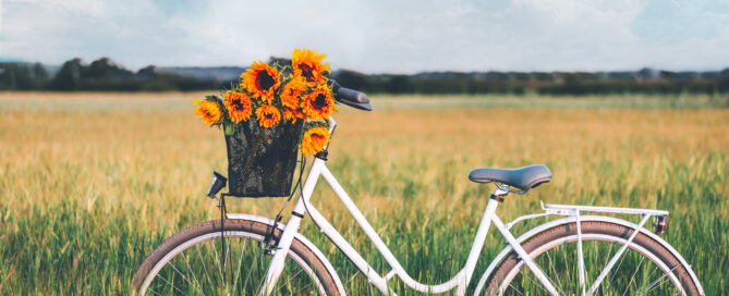 Retro-Fahrrad mit Sonnenblumen vor blühender Wiese.