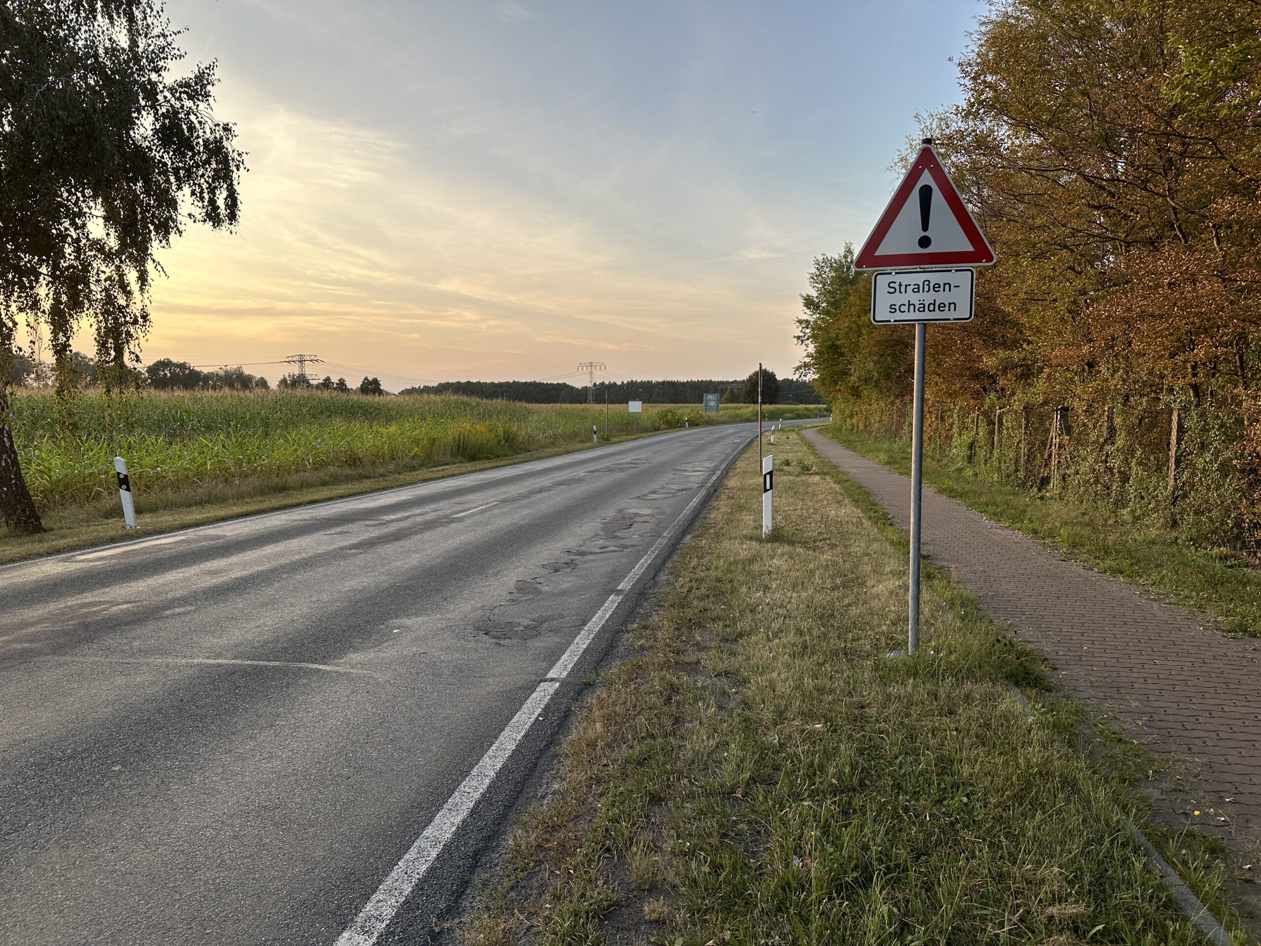 Das Foto zeigt eine Landstraße nahe Lübbenau.