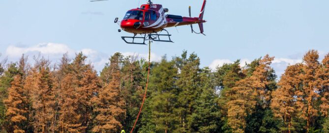 Ein Feuerwehr-Hubschrauber fliegt über einem Waldstück. Am Boden sind Feuerwehrleute im Einsatz.